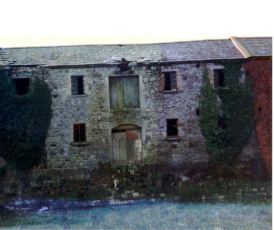Fort House Bed & Breakfast Kilbeggan Exterior photo